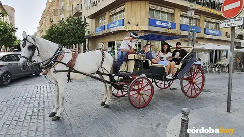 Un coche de caballos con turistas en la Plaza de Las Tendillas