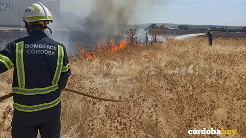Fuego de pasto en la calle Suecia