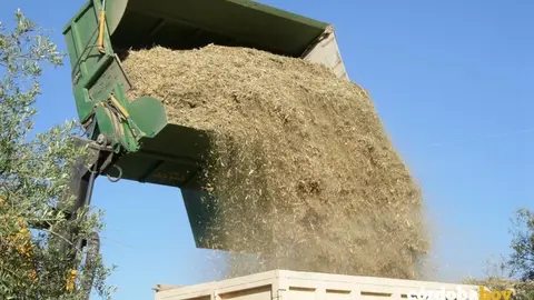 Recogida de material para la biomasa