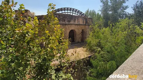 La Noria de la Albolafia en la ribera del Guadalquivir, en una imagen de archivo