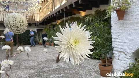 Composici&oacute;n de FLORA en 2021
