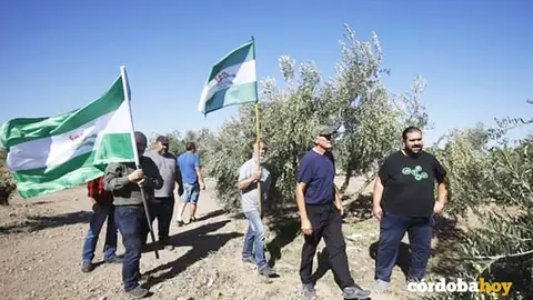 Jornaleros del SAT, con &Oacute;scar Reina a la cabeza, regresan a la finca Somonte el pasado 19 de octubre