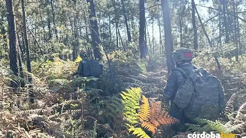 Pr&aacute;ctica en las jornadas de combate en bosques