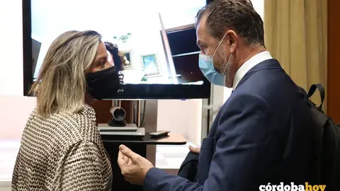 Isabel Alb&aacute;s y David Dorado en el Pleno ordinario de noviembre
