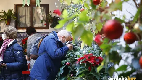 Patios en Navidad 2021
