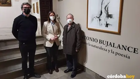 El Museo de Bellas Artes ofrece la exposici&oacute;n de Antonio Bujalance 'Entre la Naturaleza y la Poes&iacute;a'
