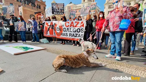 Manifestaci&oacute;n contra la caza en C&oacute;rdoba