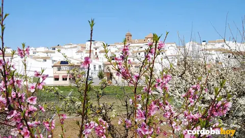 Imagen del municipio de Palenciana