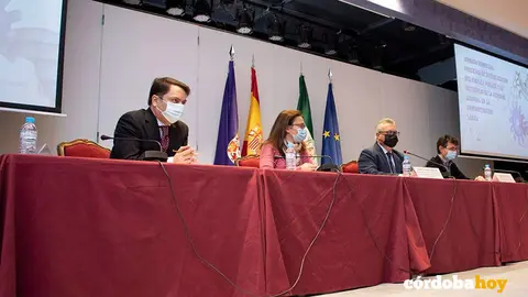 DIPIU