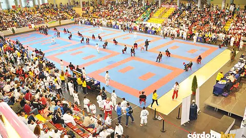 Karate en el Pabell&oacute;n de Vista Alegre