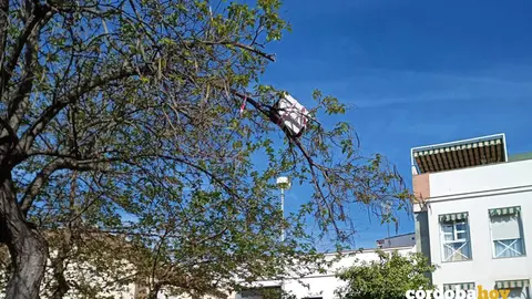 Caja donde se arrastran a las abejas antes de que enjambren