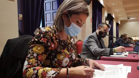 Erika Nevado en el Pleno de la Diputaci&oacute;n