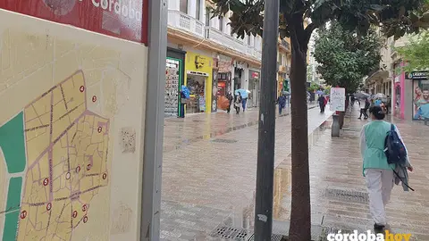 Una mujer limpiadora de camino al trabajo