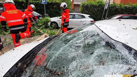 Actuaci&oacute;n de los bomberos con ramas ca&iacute;das