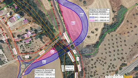 Zonas afectadas por la expropiaci&oacute;n para ejecutar el nuevo puente en Alcolea