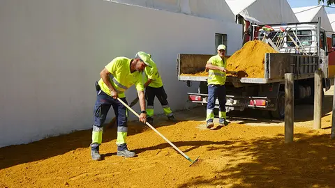Compactaci&oacute;n con albero del recinto ferial