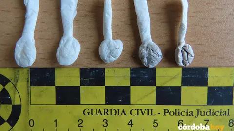 Material incautado por la Guardia Civil en Priego