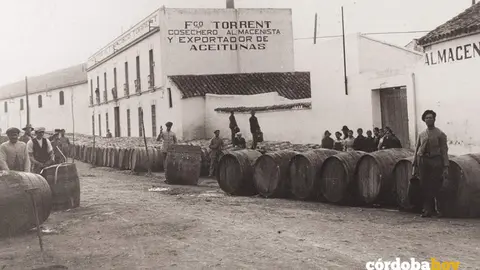 Fachada de Aceitunas Torrent en la calle Alonso Sabio copia