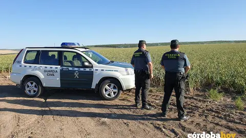 La Guardia Civil controlando la campa&ntilde;a del ajo en C&oacute;rdoba