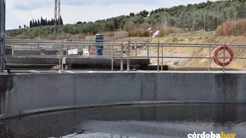 FUENTE PALMERA