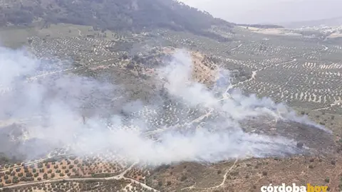 Fuego en el paraje Cerro del Olivar de Rute, el pasado 16 de junio FOTO INFOCA