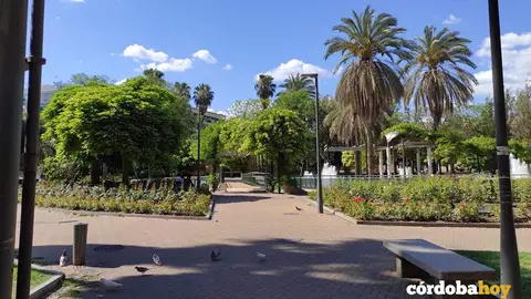 Interior del Parque Juan Carlos I