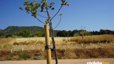 Parque urbano de El Patriarca en julio de 2022
