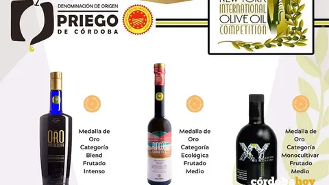 Los aceites de la DOP Priego de C&oacute;rdoba ganadores del 'Nyiooc World Olive Oil Competition' 2022