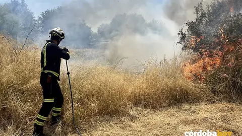 Actuaci&oacute;n del SEIS en un incendio de pastos FOTO CORDOBAFIRE