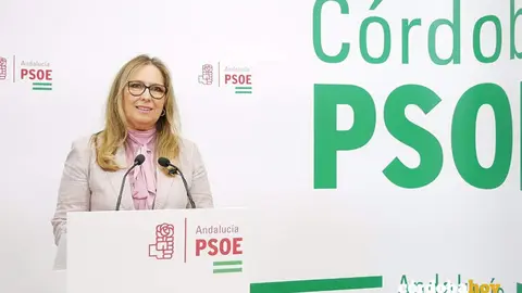 La senadora del PSOE, Mar&iacute;a &Aacute;ngeles Luna, en una imagen de archivo