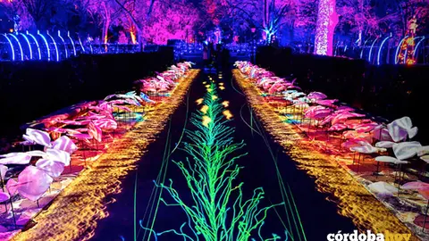 NATURALEZA ENCENDIDA