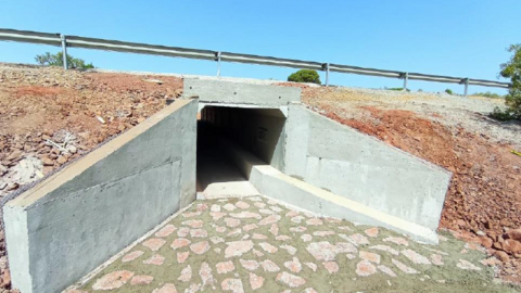 Ejecuci&oacute;n de solera de entrada de nuevo paso de fauna