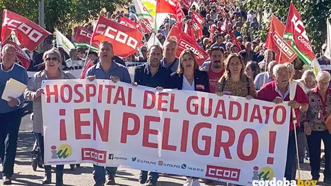 Manifestaci&oacute;n convocada por IU y CCOO en Pe&ntilde;arroya en defensa de la sanidad p&uacute;blica