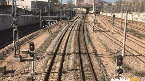 V&Iacute;AS DEL TREN copia