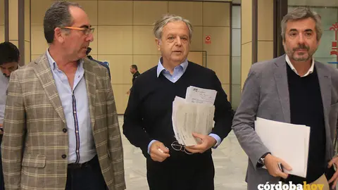 ALVAREZ, FUENTES Y TORRICO copia