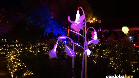 Espect&aacute;culo de luz, imagen y sonido del Alc&aacute;zar de los Reyes Cristianos de C&oacute;rdoba, Naturaleza Encendida 'Ra&iacute;ces'