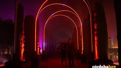 Espect&aacute;culo de luz, imagen y sonido del Alc&aacute;zar de los Reyes Cristianos de C&oacute;rdoba, Naturaleza Encendida 'Ra&iacute;ces', en una imagen de archivo
