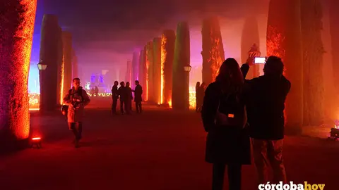Espect&aacute;culo de luz, imagen y sonido del Alc&aacute;zar de los Reyes Cristianos de C&oacute;rdoba, Naturaleza Encendida 'Ra&iacute;ces'
