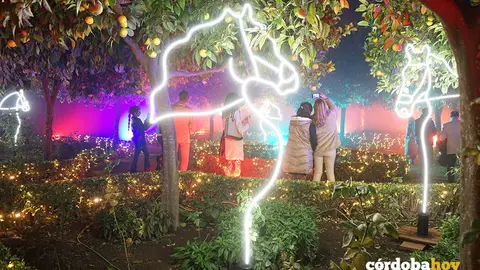 Espect&aacute;culo de luz, imagen y sonido del Alc&aacute;zar de los Reyes Cristianos de C&oacute;rdoba, Naturaleza Encendida 'Ra&iacute;ces'