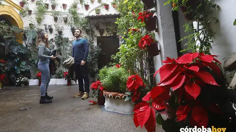Celebraci&oacute;n del X aniversario de Los Patios como Patrimonio Inmaterial