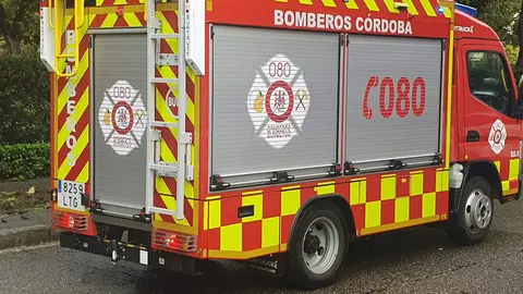 Bomberos actuando en el &aacute;rbol ca&iacute;do en Escultor Fern&aacute;ndez M&aacute;rquez