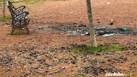 Quemas vand&aacute;licas de &aacute;rboles y estructuras de madera en los jardines del Parque de Levante