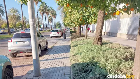 Acerado de C&oacute;rdoba donde es complicado ubicar un carril-bici