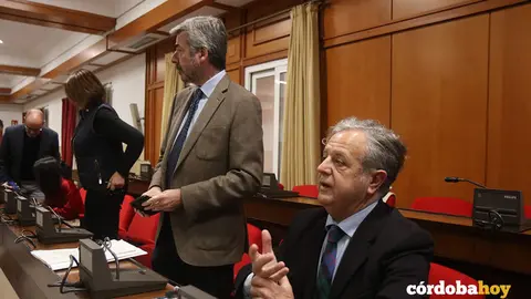 Miguel &Aacute;ngel Torrico (de pie) y Salvador Fuentes en el Pleno extraordinario de enero FOTO RF MELLADO SENIOR
