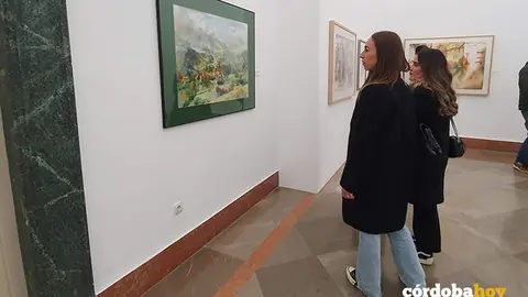 Exposici&oacute;n 'Juegos de Agua (Acuarelas del Museo)' en el Bellas Artes de C&oacute;rdoba