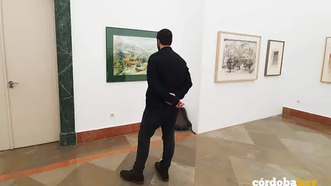 Exposici&oacute;n 'Juegos de Agua (Acuarelas del Museo)' en el Bellas Artes de C&oacute;rdoba, en una imagen de archivo