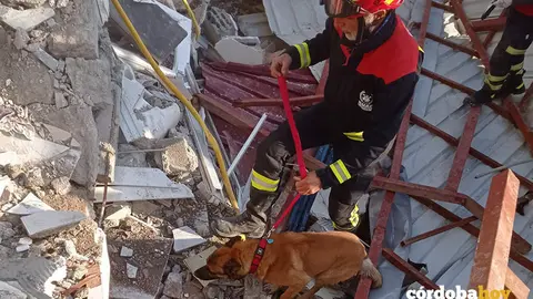 El bombero cordob&eacute;s Antonio Caballero y su perro Bolo en plena faena en Turqu&iacute;a FOTO DIPUTACI&Oacute;N