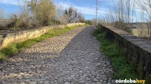 Plataforma del puente romano que formaba parte de la calzada Ad Emeritam