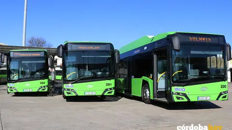 Los tres nuevos autobuses de Solaris para Aucorsa