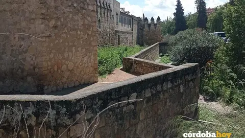 Situaci&oacute;n del entorno del lienzo de Puerta Sevilla 